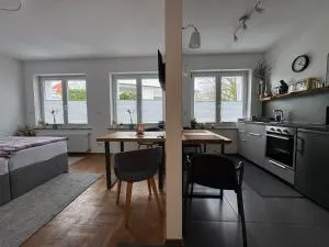 Robert Koch - 阿恩斯贝格