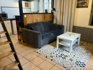 Appartement Le Cadet Roussel Auxerre Les Quais - 彭陶伯特
