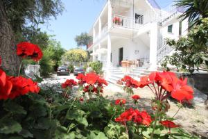 Angeliki Studio and Apartment Paxoi Greece