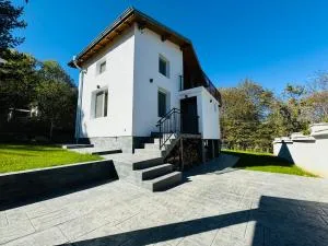 Вила Mountain Ship - Ustina