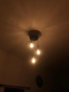 Palm paradise - 卡拉瓦提亚尔