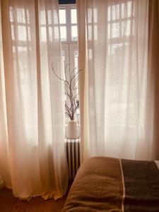 Bohémien garden room