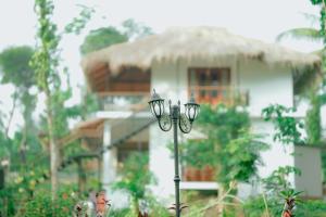 ALLISON the Tribe Resort