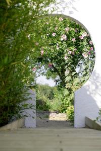Appartements Land-Zee - Appartement Cote Mer : photos des chambres