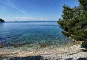 Apartman Studio S2- Poreč, Istra, Hrvatska