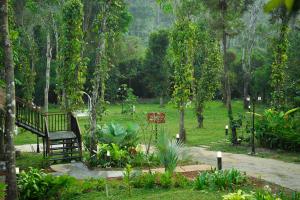 ALLISON the Tribe Resort