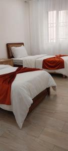 Apartment in Béni messous2