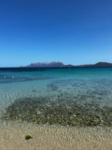 La Casetta di Irene img12
