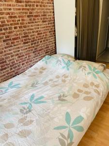 Appartements Depart tardif appartement T2 avec 1 chambre centre Orleans : photos des chambres