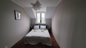 Apartament pod Toruniem