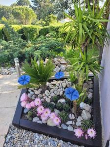 Maison avec piscine, oliviers, belle vue, au calme