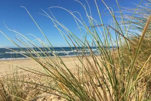 Maisons de vacances Villa 145 m near ocean with pool and garden : photos des chambres