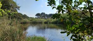 Maisons de vacances Villa 145 m near ocean with pool and garden : photos des chambres