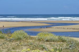 Maisons de vacances Villa 145 m near ocean with pool and garden : photos des chambres