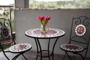 Apartment VistaMare Croatia