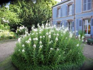 Maisons de vacances Gite charmant avec jardin clos et parking a Saint-Sauveur-Marville - FR-1-581-146 : photos des chambres