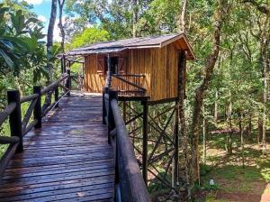 Casa na Árvore Monte Verde