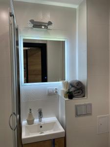 Luxury Apartments Kamienna Góra