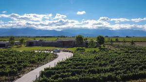 Finca Concepto Private Luxury At Alfa Crux