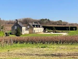 Gîte viticole tout inclus, jardin 3000m², vélos offerts, proche Saumur-Chinon-Langeais - FR-1-381-606 - Restigné