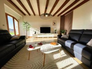 Gîte viticole tout inclus, jardin 3000m², vélos offerts, proche Saumur-Chinon-Langeais - FR-1-381-606