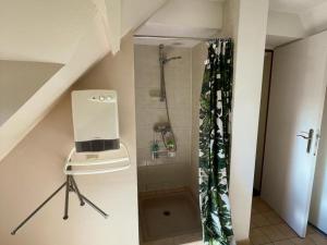 Maisons de vacances Gite viticole tout inclus, jardin 3000m², velos offerts, proche Saumur-Chinon-Langeais - FR-1-381-606 : photos des chambres