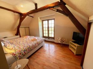 Maisons de vacances Gite viticole tout inclus, jardin 3000m², velos offerts, proche Saumur-Chinon-Langeais - FR-1-381-606 : photos des chambres