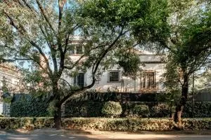 Pug Seal Polanco Anatole France - 墨西哥城