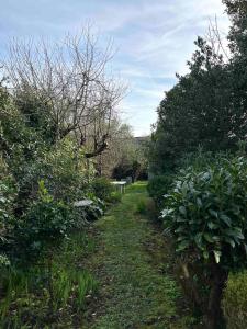 Maisons de vacances Maison de famille en bord de mer : photos des chambres