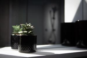 Zenith - Alpine Retreat