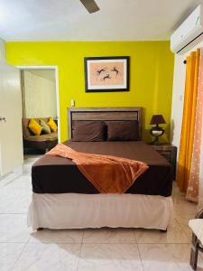 Hibiscus View Apartment Rental