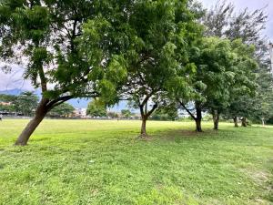 Master Suite Platinum #1