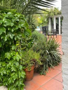 Casa en playa grande