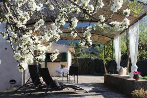 Sóller Relax II, cozy and rural apartment