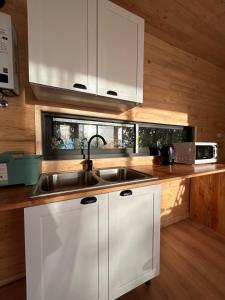 Antonio Cocholgue Loft