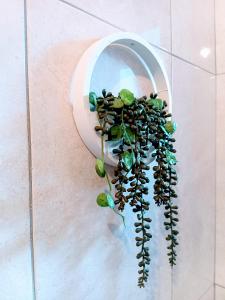 City centre B Apartment, parking, sleeps 6