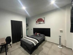 Estudios Rios Habitación