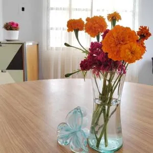 Rosalita-toda para ti - Cadereyta Jiménez