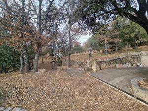 Villas Ecrin de Verdure : photos des chambres
