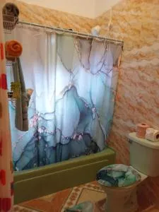 The Gibson's Palace - Content