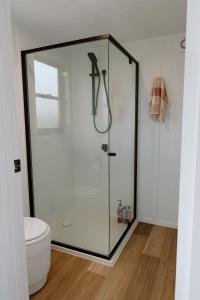 Brand New Tranquil Tiny Home On 60 Acres Near Kennilworth Feed Friendly Cows, Spectacular Views