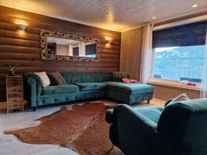Cozy holiday apartment with spectacular view - Høydalsmo