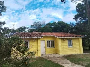 Walter - 库奇拉阿尔塔