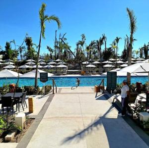 Kingdom of the Sun Mexico