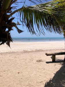 Apartamento pé na areia em Maragogi