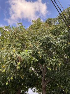 Jade Coast Getaway Near Montego Bay