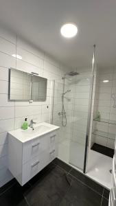 Appartements Appartement neuf 6 voyageurs : Appartement 1 Chambre