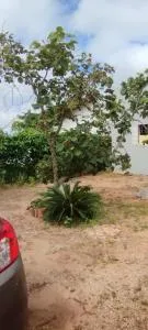 Espaço Moura - 沙帕达-杜斯吉马朗伊斯