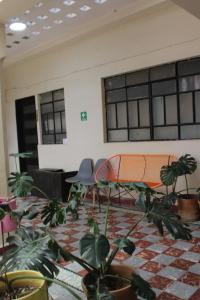 Posada Mía, Céntrica - HiveNB