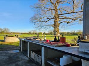 Maisons de vacances Mansion in Fargues with Pool near Bordeaux : photos des chambres